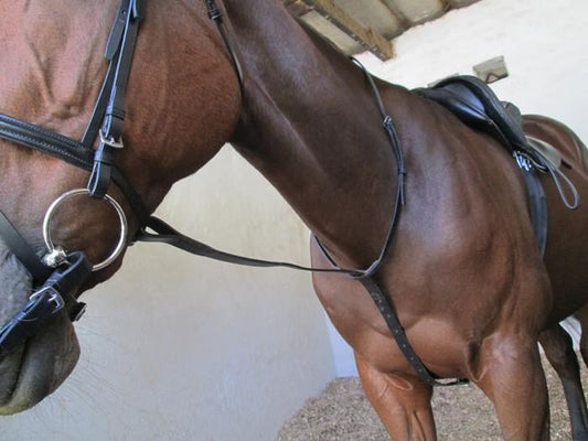 Brown Full Standing Martingale