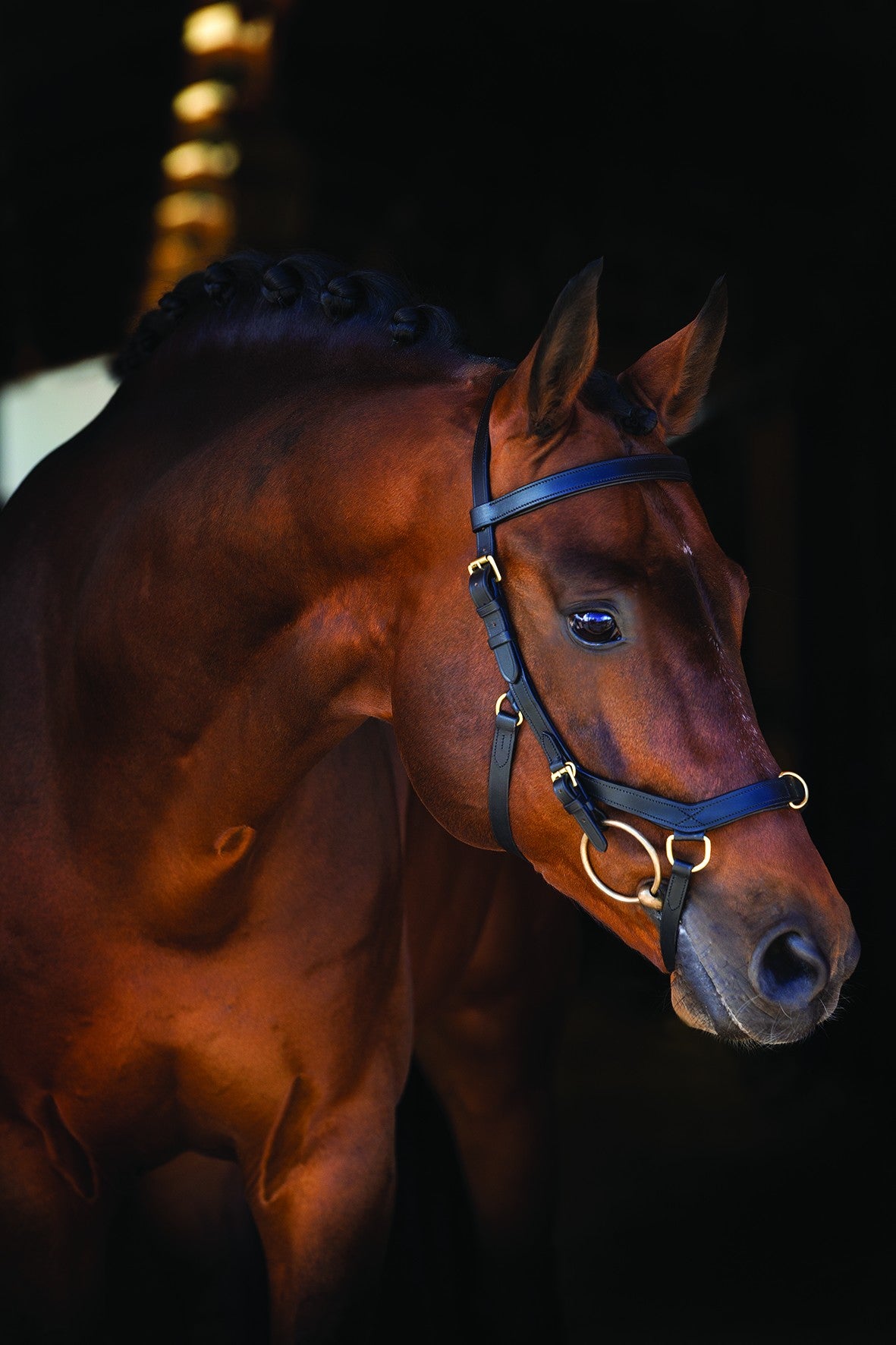 Multi Black Rambo Micklem Bridle