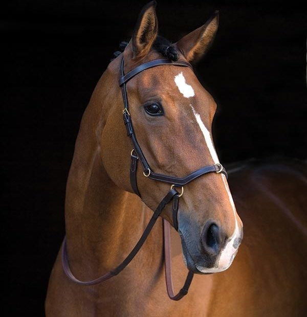 Multi Brown Rambo Micklem Bridle