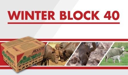 MOLATEK WINTER BLOCK 40 - 25KG