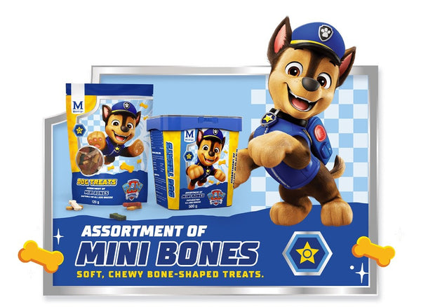 MONTEGO PAW PATROL MINI BONES