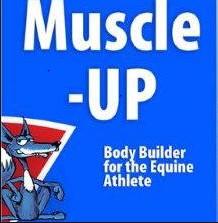 EQUIFOX MUSCLE-UP
