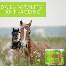 Nutriflex Collagen Main. Horses & Ponies 500g