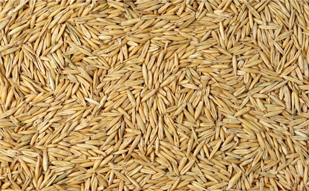 OATS WHOLE 50KG