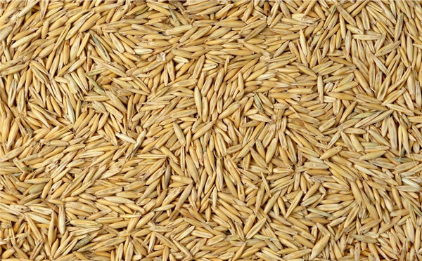 OATS WHOLE 50KG