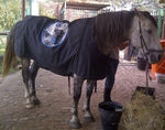 Ozony Therapy Blanket