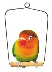 Bell - Cockatiel On Chain