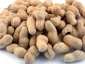 Peanuts  In The Shell 1Kg