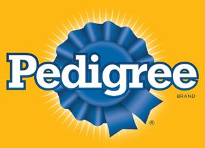 Pedigree Multipack Puppy Jelly