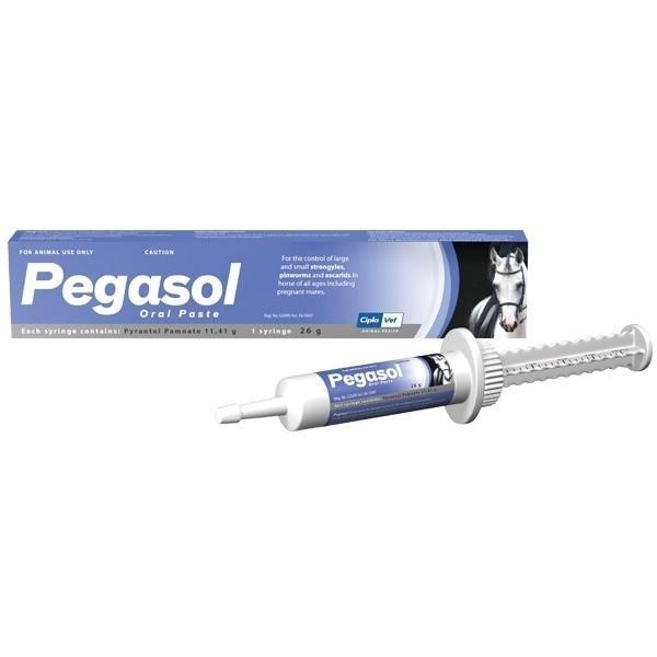 Pegasol Paste 11.41G