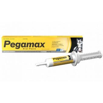 Pegamax Paste 32.4G