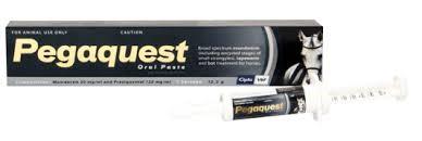 Pegaquest 12.2G