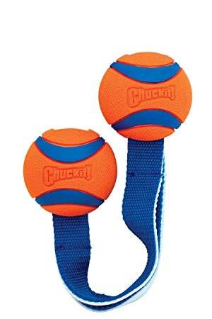 Chuckit! Ultra Duo Tug Small