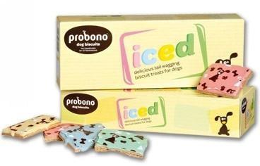 Iced Biscuits