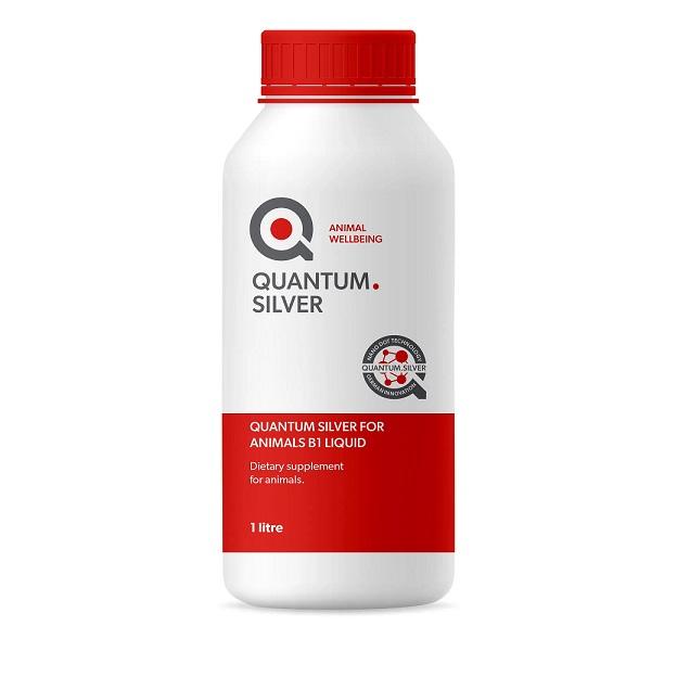 QUANTUM SILVER LIQUID 1L