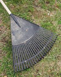 Rake Giant Leaf