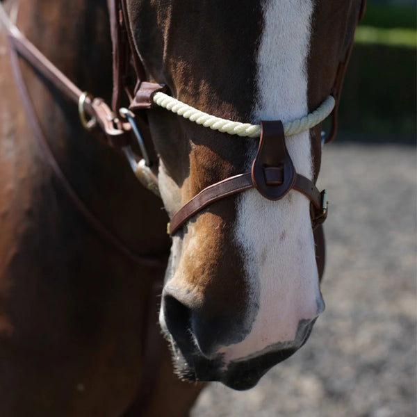 Espoir Rope Noseband Brown