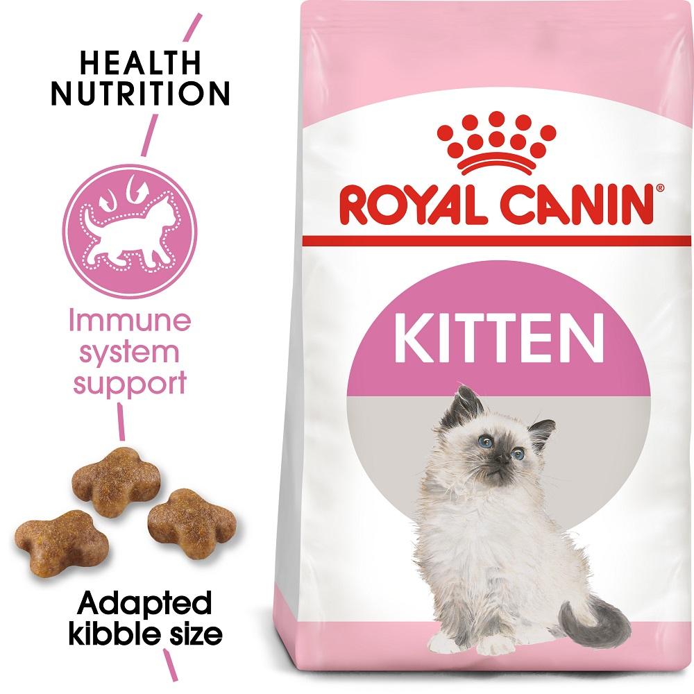 R/C KITTEN 400G