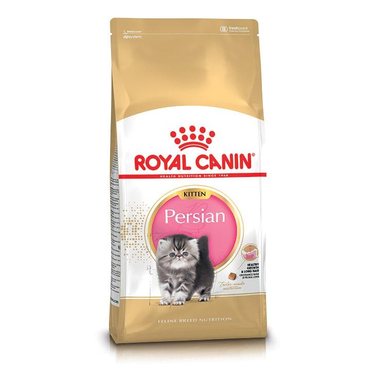 R/C PERSIAN KITTEN 4KG
