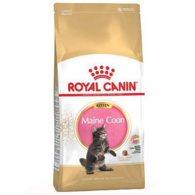 Royal Canin Maine Coon Kitten 4Kg