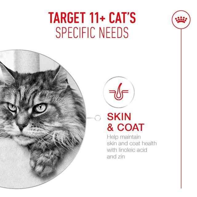R/C Cat Ageing 11+ 4kg