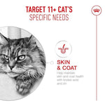 R/C Cat Ageing 11+ 4kg