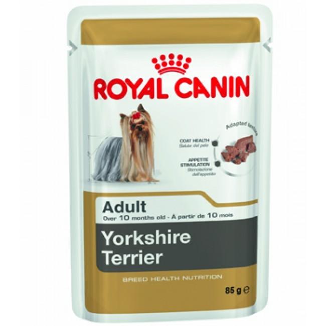 Royal Canin Yorkie Pouch Each