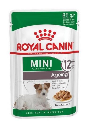 R/C Mini Ageing Pouch 85g