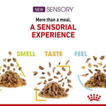 Royal Canin Cat Sensory Wet Smell 85g