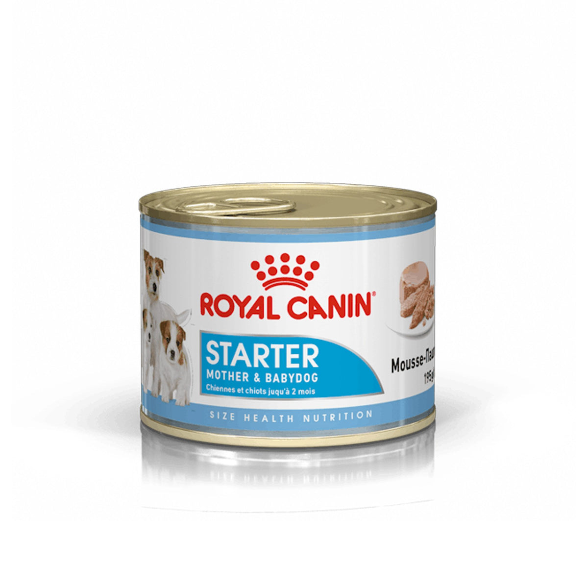 R/C Starter Mousse Can 195g