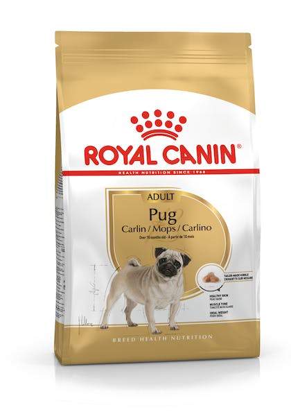 R/C PUG ADULT 3KG