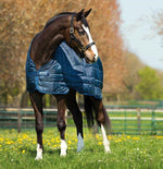 Horseware Liner 100g