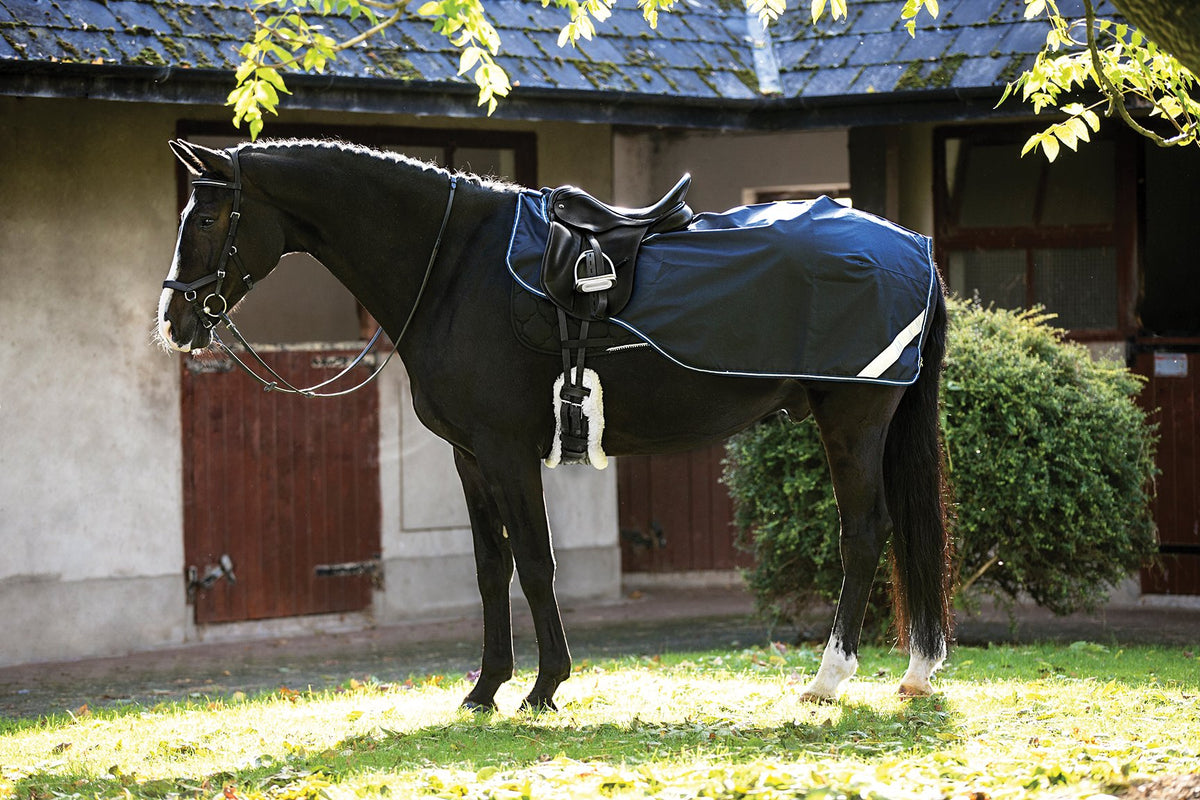 Amigo Competition Sheet Navy