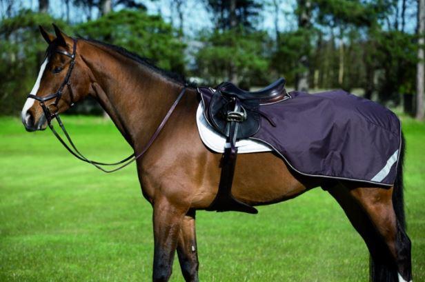 Amigo Competition Sheet Navy