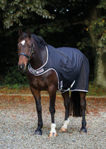 Amigo Walker Rug