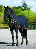 Amigo Walker Rug
