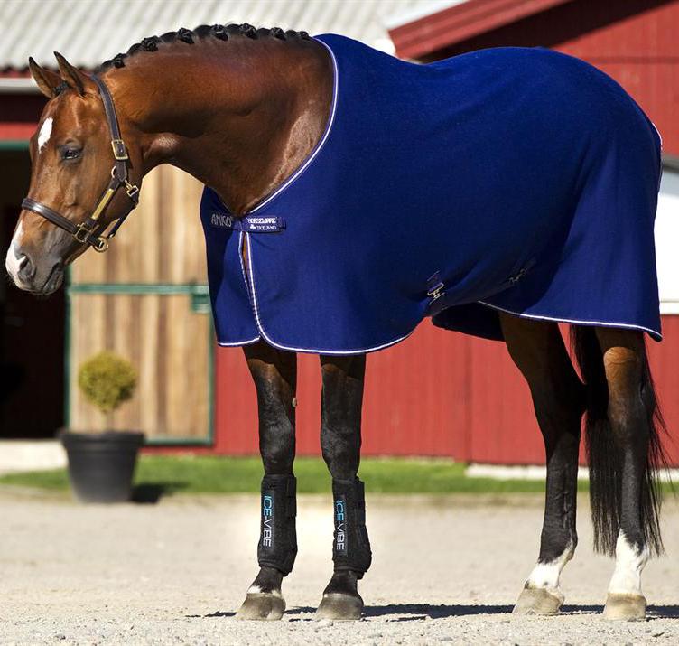 Blue Amigo Jersey Cooler