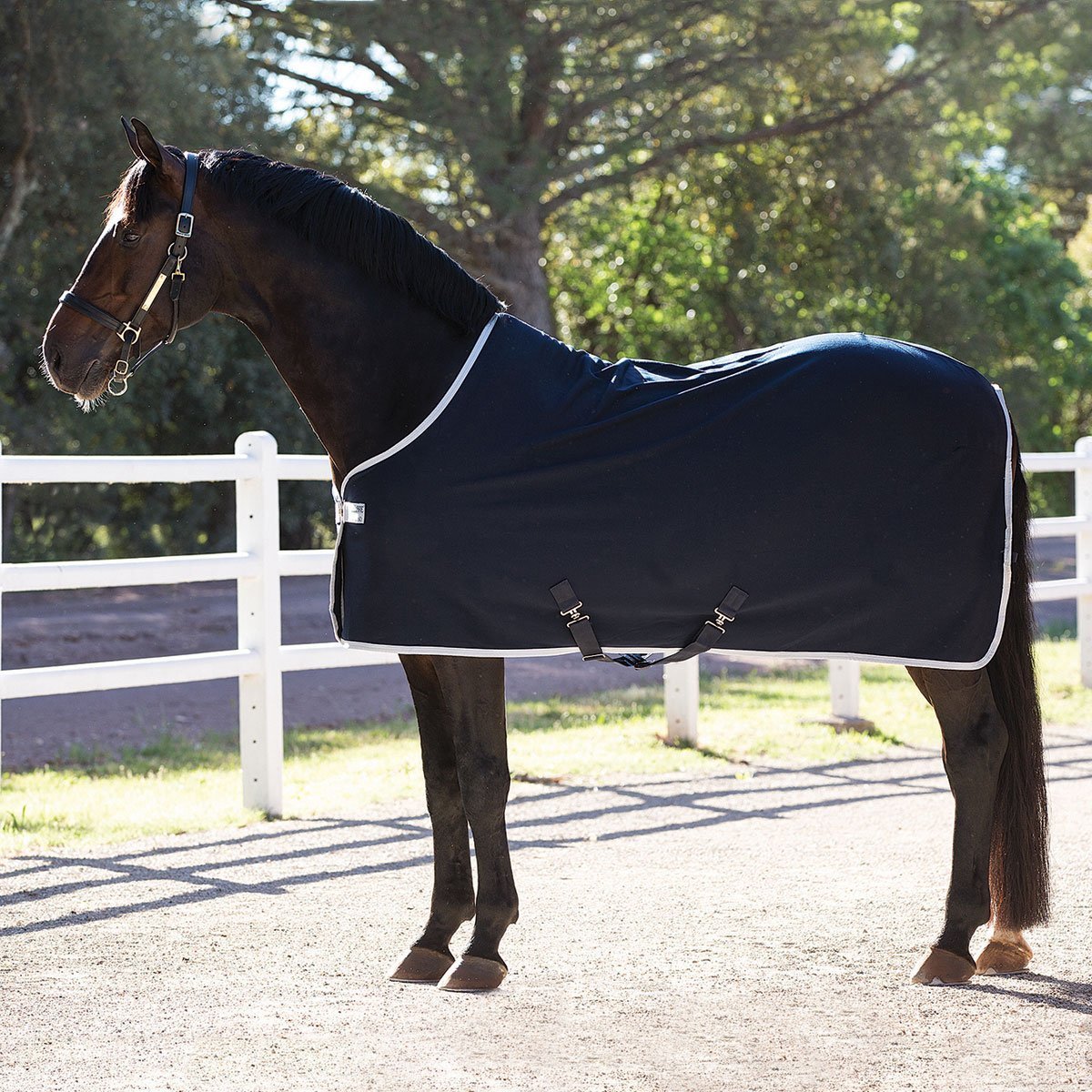Navy Amigo Jersey Cooler