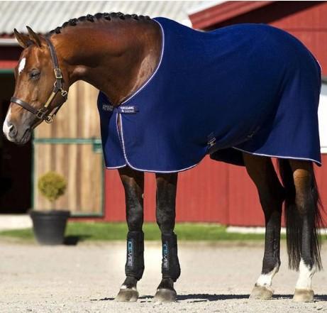 Blue Amigo Jersey Cooler