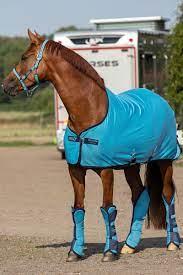 Amigo Jersey Cooler Delphinium blue
