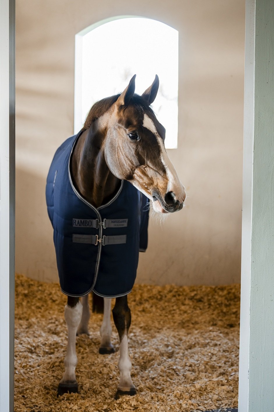 Rambo Stable Rug 200g Navy