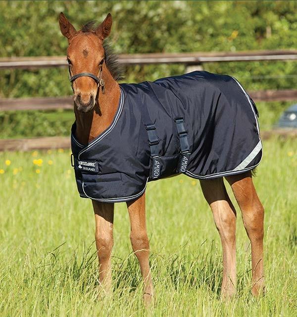 Navy Amigo Foal Rug Turnout