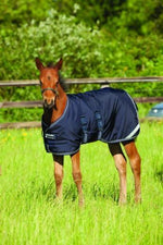 Navy Amigo Foal Rug Turnout