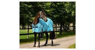 Amigo Stable Sheet Dblue