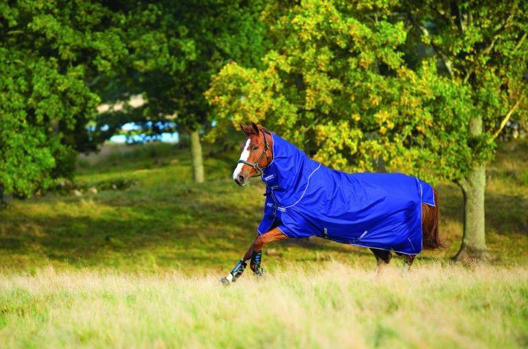 Tack 'n Togs at Midfeeds