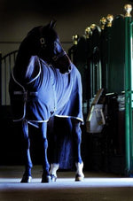 Amigo Stable Sheet Navy/Grey