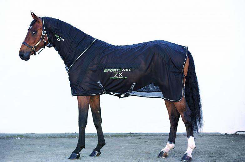 Large Zx Sportzvibe Horse Rug