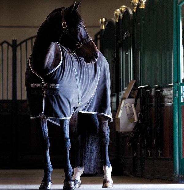 Amigo Stable Sheet Navy/Grey