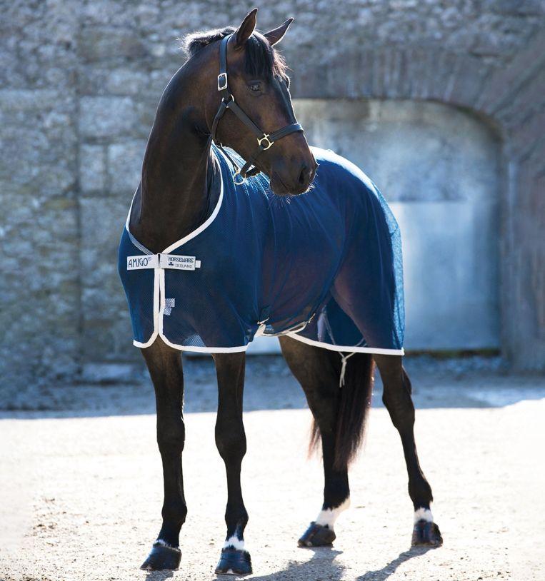 AMIGO NET COOLER NAVY 145
