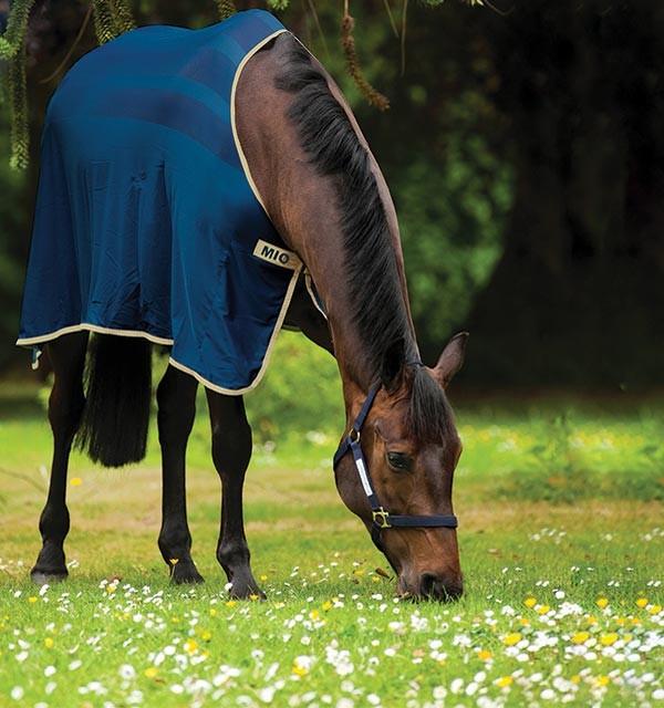 Navy Mio Skrim Cooler